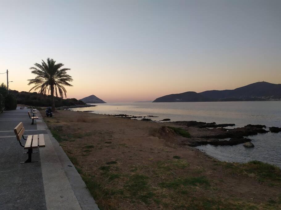 Modern Studio Next To The Sea! Pórto Ráfti Dış mekan fotoğraf